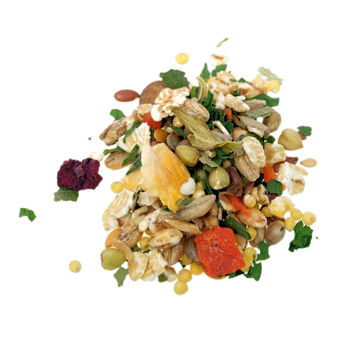 Rodipet ®頂級短毛熊仔鼠一歲前土豪糧食 500G - FatFatPetShop 肥肥寵物用品 ψ(`∇´)ψ