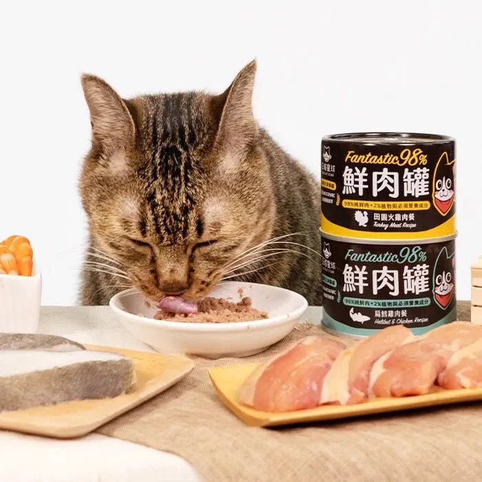 🇹🇼汪喵星球貓用 FANTASTIC 98% 鮮肉無膠主食罐|田園火雞165G - FatFatPetShopHK