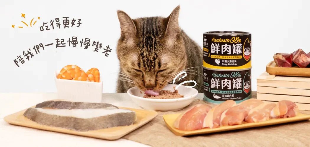 🇹🇼汪喵星球貓用 FANTASTIC 98% 鮮肉無膠主食罐| 低敏鴨肉 80G - FatFatPetShopHK