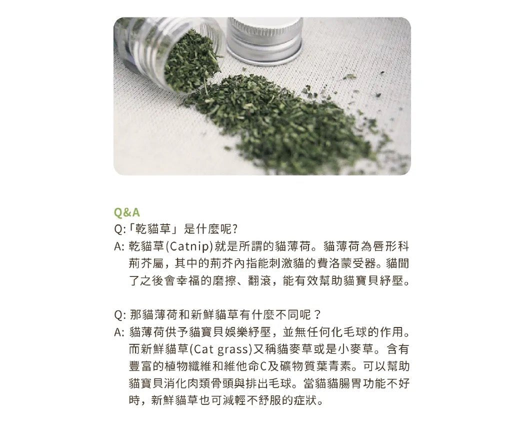 汪喵星球 乾貓草 - 頂級貓薄荷棒棒 100% 無農藥 - FatFatPetShop 肥肥寵物用品 ψ(｀∇´)ψ