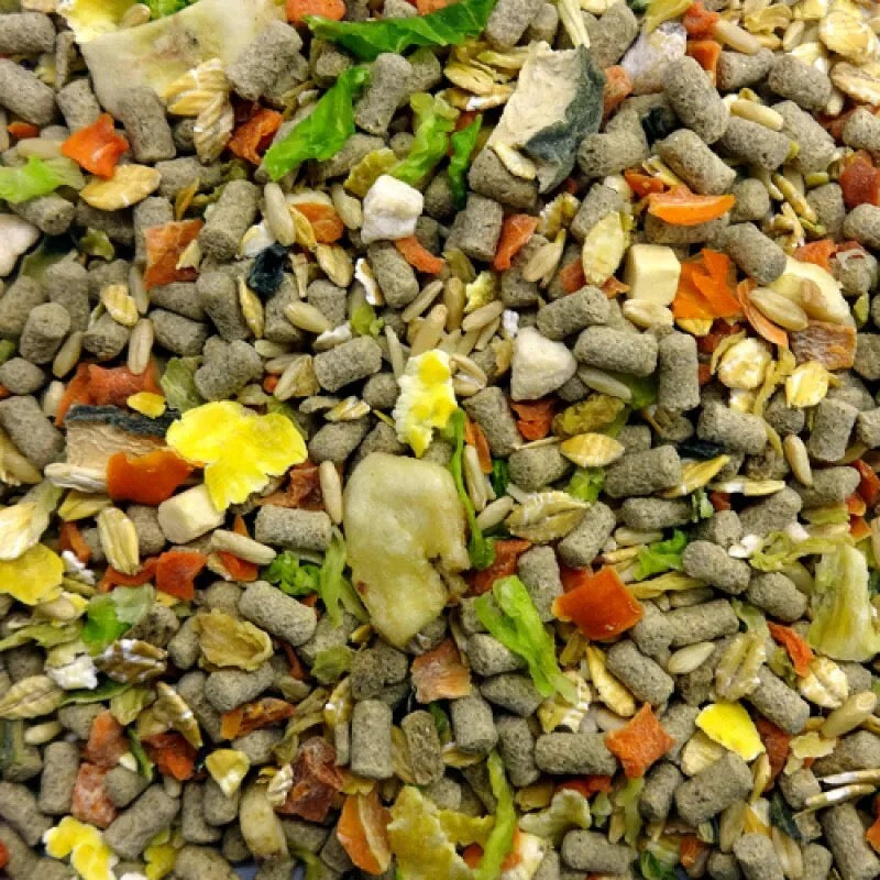 NPF 倉鼠水果糧(拌飯) - 220g