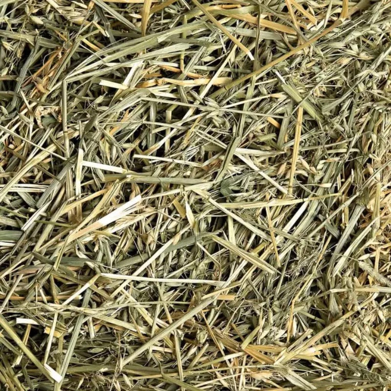 Small Pet Select 燕麥草 Oat Hay - 2lbs
