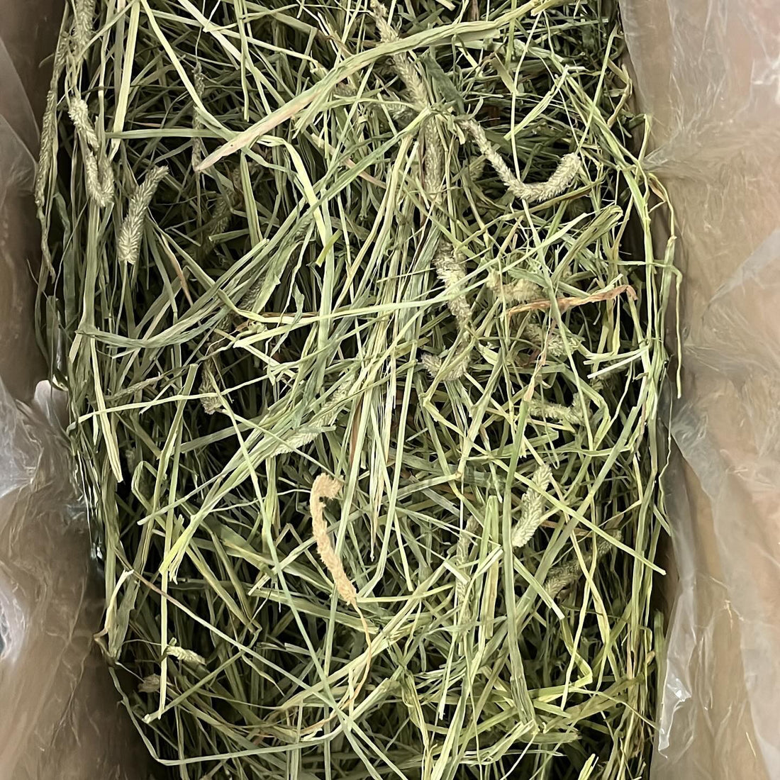HM Hay Moment 一割美國提摩西草 冬季限定版 (Winter 1st cut)Timothy Hay 3kg