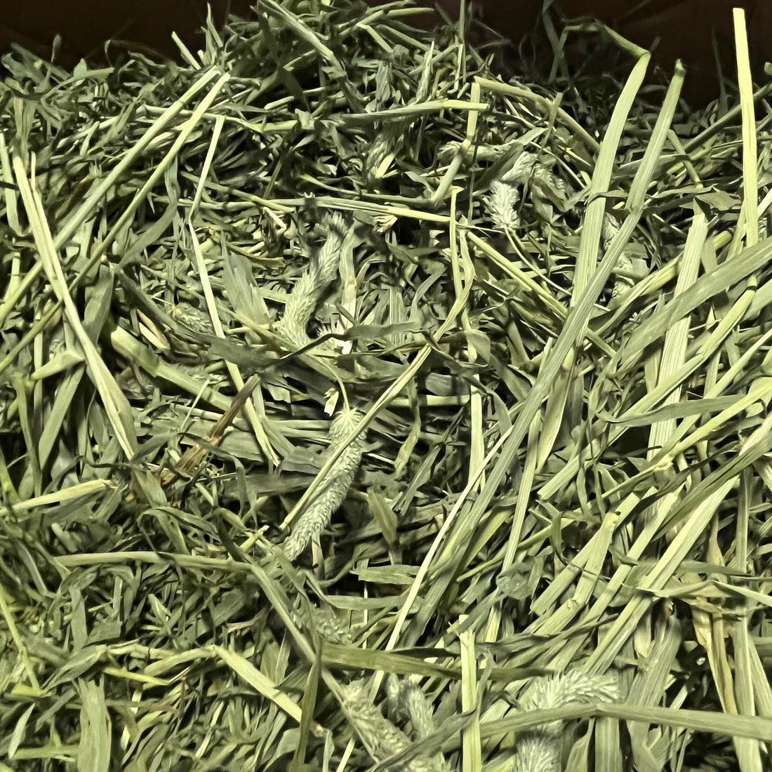 Standlee 全人手挑選 美國提摩西草 Timothy hay 48oz(刁嘴小動物首選)