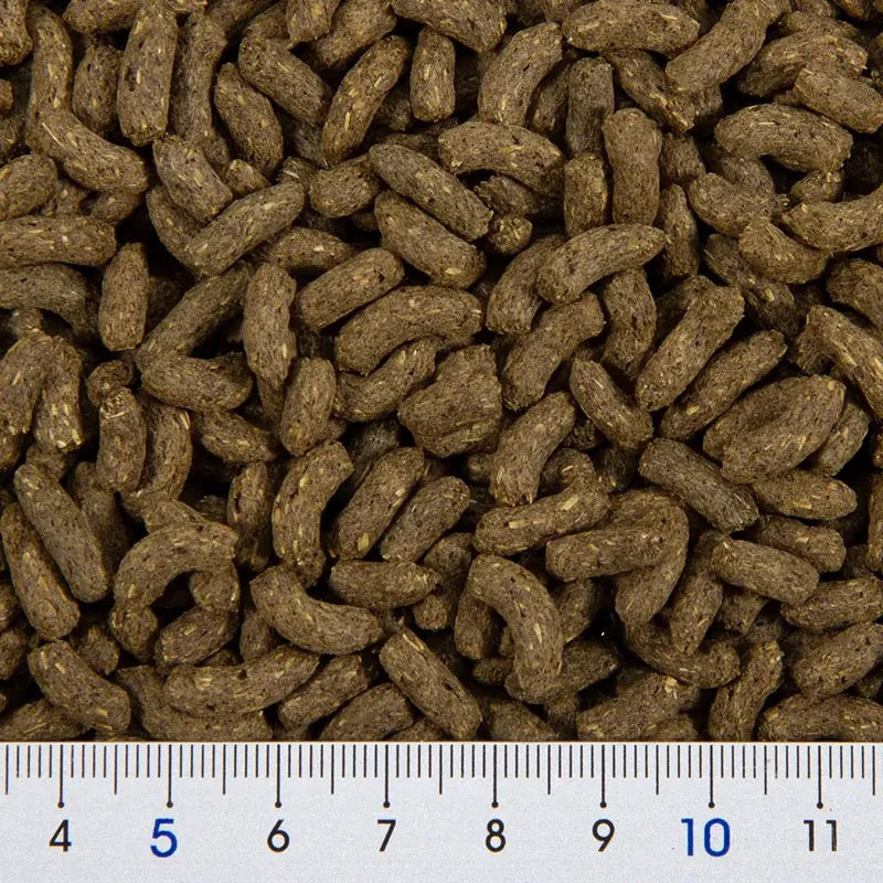 Gex 善玉菌維他命C優質天竺鼠糧 600g (腸胃健康 免疫力強化)