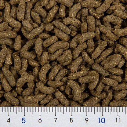 Gex 善玉菌維他命C優質天竺鼠糧 600g (腸胃健康 免疫力強化)