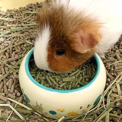 OIC 防濺小動物食物碗