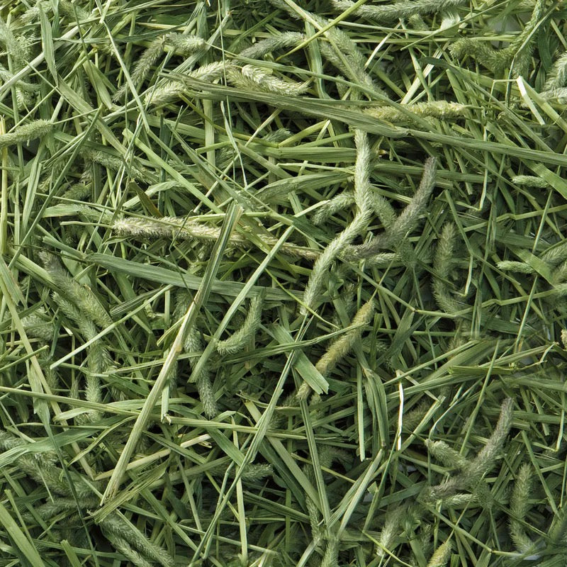 Marukan Bunny Grade 高級提摩西草 550g