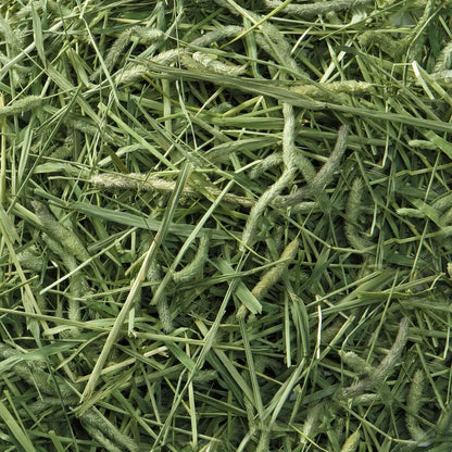 Marukan Bunny Grade 高級提摩西草 550g