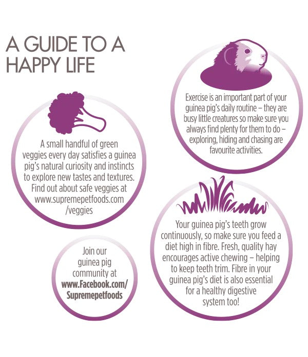 Selective Naturals Grain Free 天然無穀物天竺鼠糧食 1.5kg