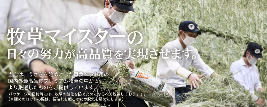 牧草市場 特級優質S級一割提摩西草 - 500g