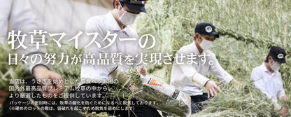 牧草市場 特級優質S級一割提摩西草 - 500g