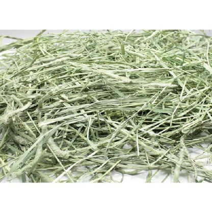 牧草市場 特級優質S級一割提摩西草 - 500g