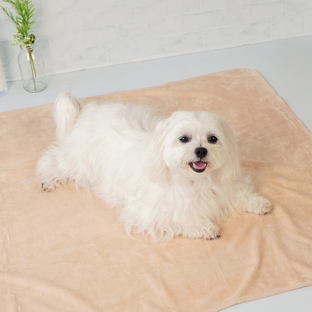 汪喵星球 吸水速乾寵物浴巾