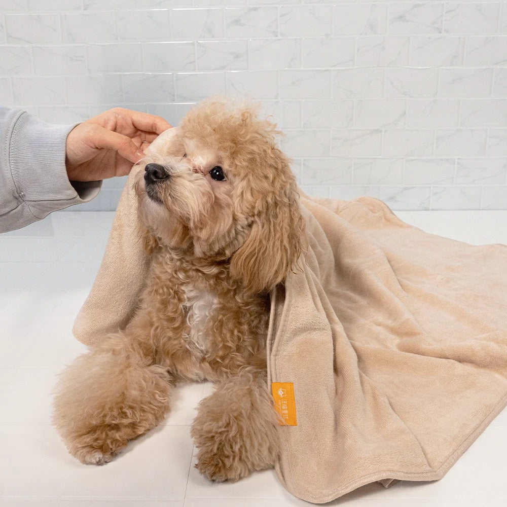 汪喵星球 吸水速乾寵物浴巾