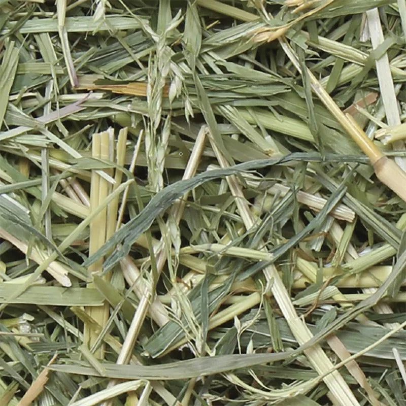 Hipet Pro 精選蘇丹草 - 480g