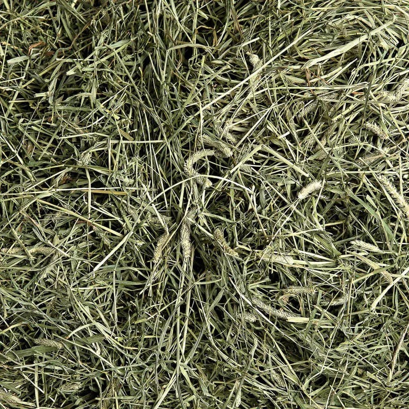 SPS 二割提摩西草 2nd cut Timothy hay 5lbs(Small Pet Select)