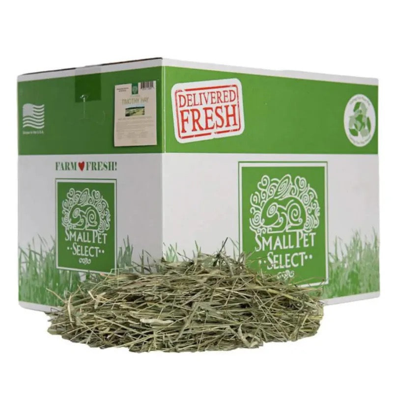 SPS 一割提摩西草1st Cut Timothy hay 10lbs(Small Pet Select)