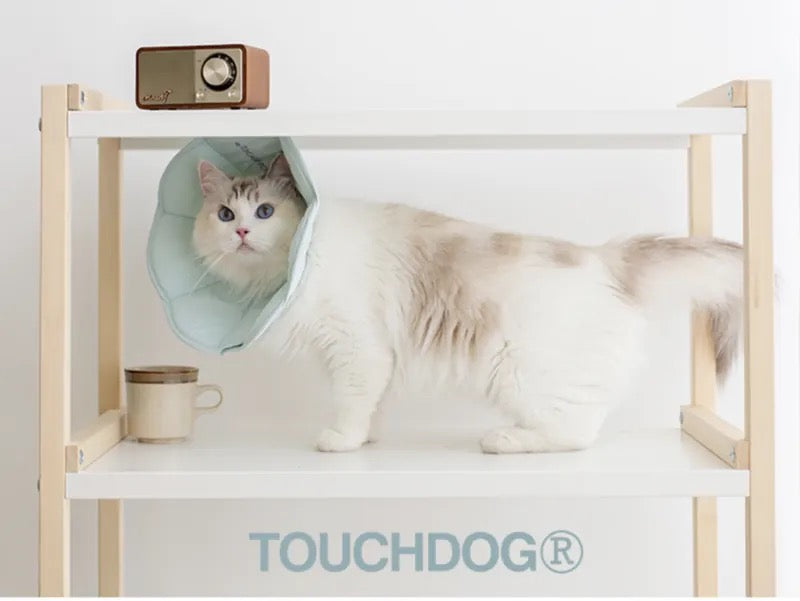 Touchdog 伊麗莎白圈 馬卡龍色系列 粉紅色xs(14-17cm)