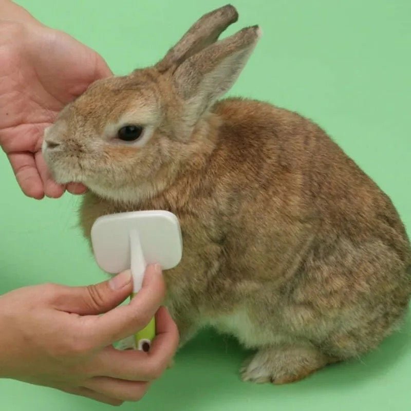 日本 Animan 小動物專用針梳 - 肥肥寵物用品FatFatPetShop