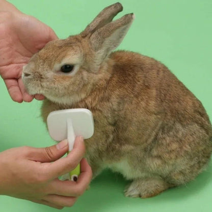 日本 Animan 小動物專用針梳 - 肥肥寵物用品FatFatPetShop