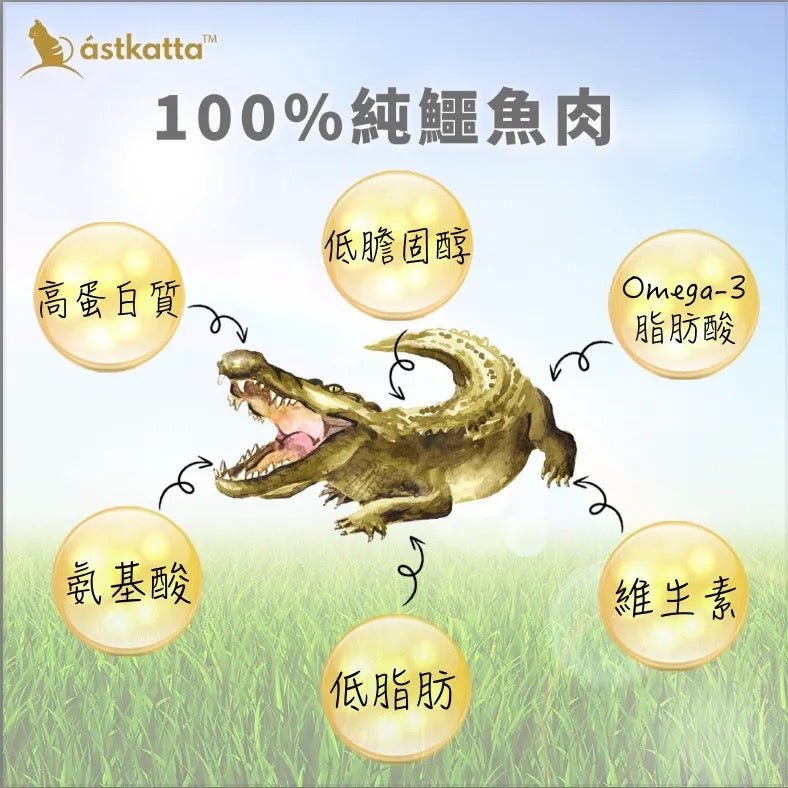 Astkatta 冰島 純鱷魚肉貓主食慕絲罐 (氣管保養)80G - 肥肥寵物用品FatFatPetShop