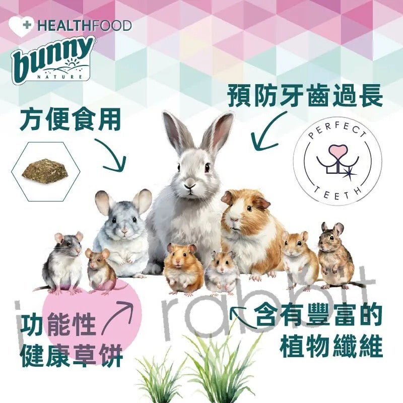 Bunny Nature Health 小動物保健草餅 - 腸道益生元Prebiotic 100g - 肥肥寵物用品FatFatPetShop