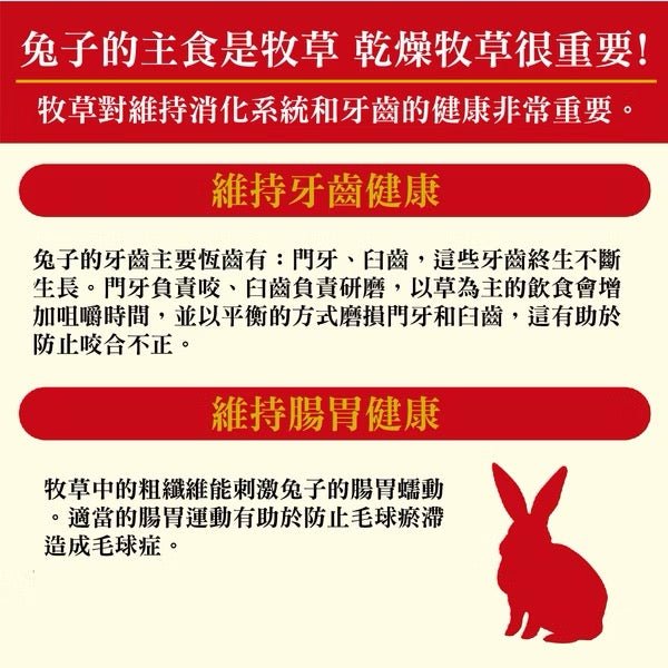 Gex 優質雙重免疫力全兔糧 800g - 肥肥寵物用品FatFatPetShop