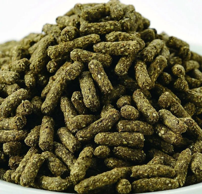 Gex 營養優質免疫力兔糧 850g - 肥肥寵物用品FatFatPetShop