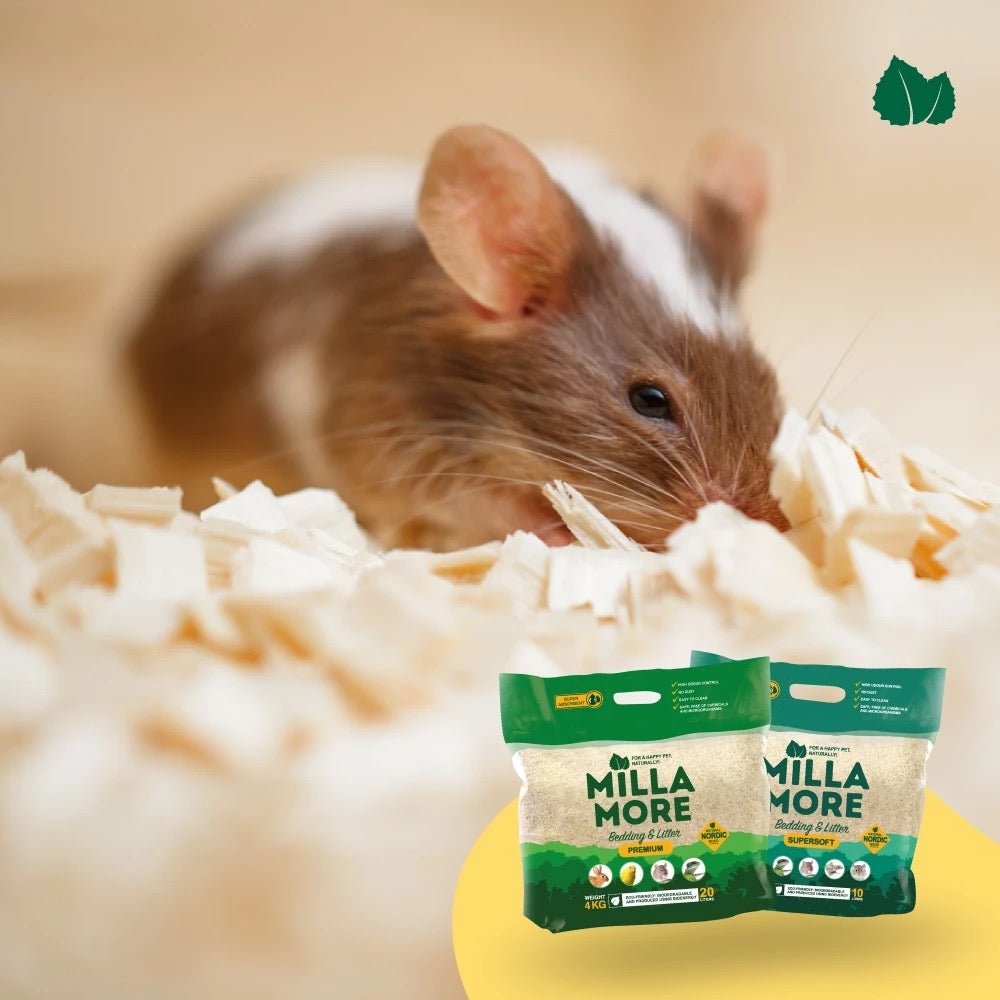 Millamore 美麗多木質無塵墊料 白楊木片 小動物墊材 實驗室等級 2kg 10L (5mm) - 肥肥寵物用品FatFatPetShop