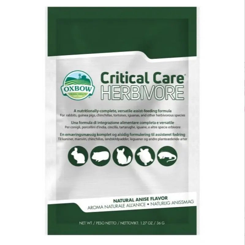 Oxbow 原味高營養草粉 Critical Care - 36g - 肥肥寵物用品FatFatPetShop