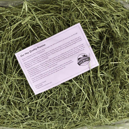 Oxbow 提摩西初割牧草 Western Timothy Hay - 90oz - 肥肥寵物用品FatFatPetShop