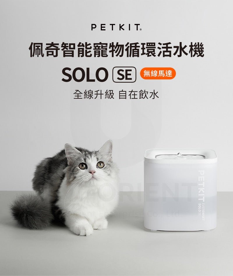 PetKit 佩奇 Eversweet SOLO SE 無線水泵循環活水寵物飲水機 (無線馬達)(保證香港行貨/有保養) - FatFatPetShop 肥肥寵物用品 ψ(｀∇´)ψ