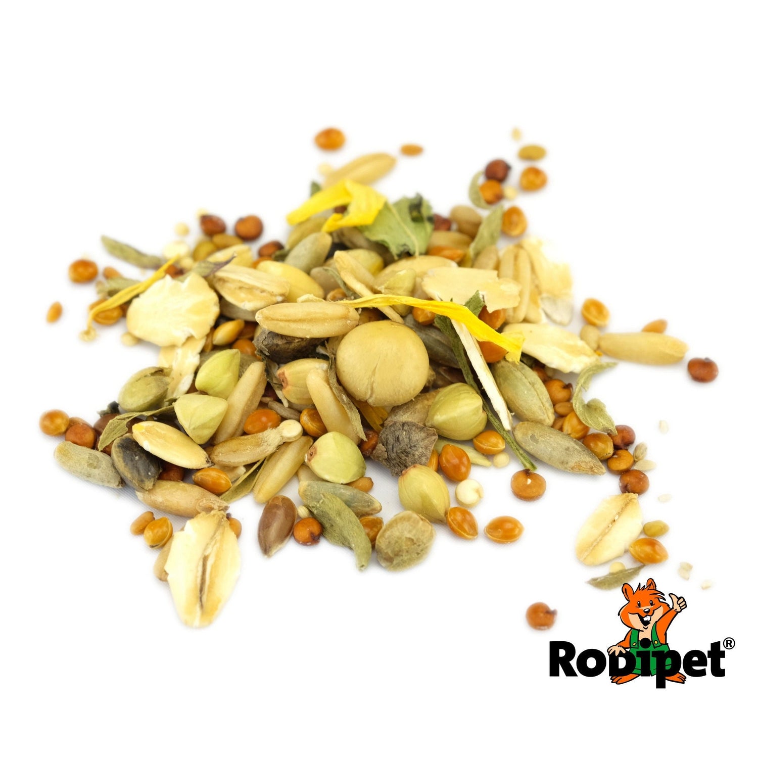 Rodipet ®頂級沙鼠兩歲前土豪糧食 500G - FatFatPetShop 肥肥寵物用品 ψ(｀∇´)ψ