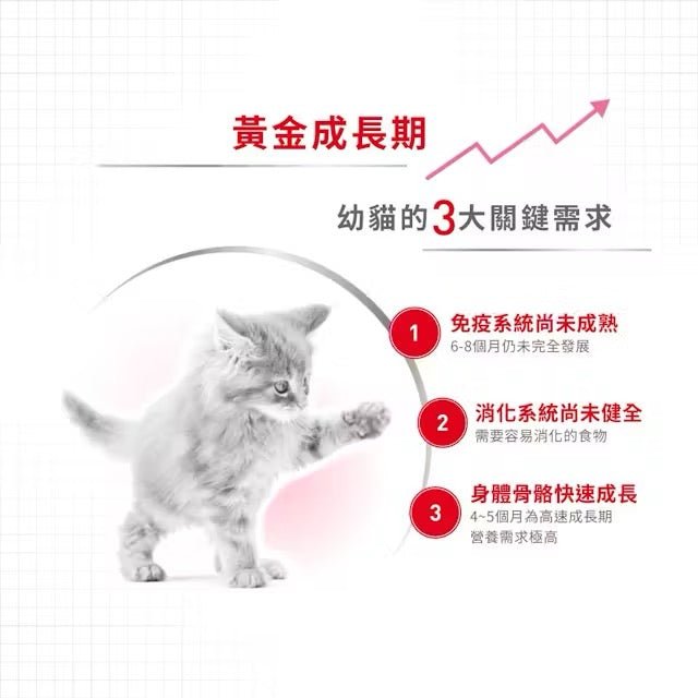 Royal Canin 皇家 幼貓乾糧 - 幼貓配方 Cat Kitten 2KG - 肥肥寵物用品FatFatPetShop
