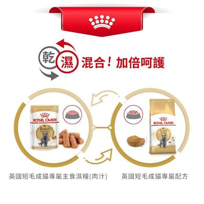 Royal Canin FBN 英國短毛成貓專屬配方 10KG - FatFatPetShopHK 肥肥寵物用品