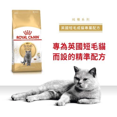 Royal Canin FBN 英國短毛成貓專屬配方 10KG - FatFatPetShopHK 肥肥寵物用品