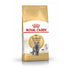 Royal Canin FBN 英國短毛成貓專屬配方 10KG - 肥肥寵物用品FatFatPetShop