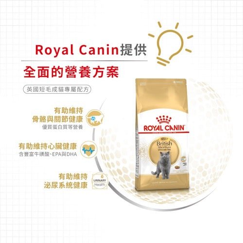 Royal Canin FBN 英國短毛成貓專屬配方 10KG - FatFatPetShopHK 肥肥寵物用品