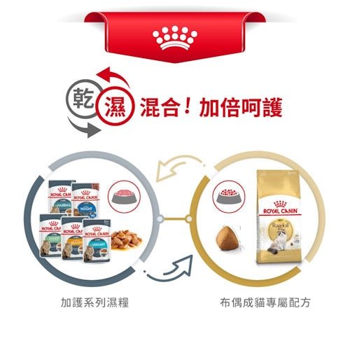 Royal Canin FBN 布偶成貓專屬配方 2KG - FatFatPetShopHK 肥肥寵物用品