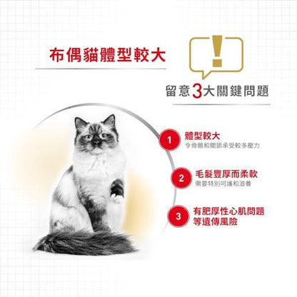 Royal Canin FBN 布偶成貓專屬配方 2KG - FatFatPetShopHK 肥肥寵物用品