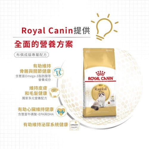 Royal Canin FBN 布偶成貓專屬配方 2KG - FatFatPetShopHK 肥肥寵物用品