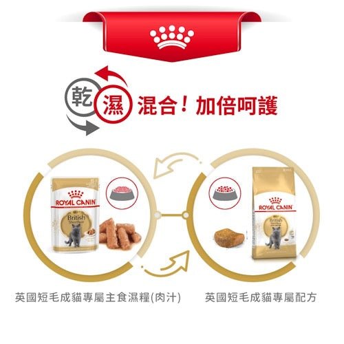 Royal Canin FBN 英國短毛成貓專屬配方 4KG - FatFatPetShopHK 肥肥寵物用品