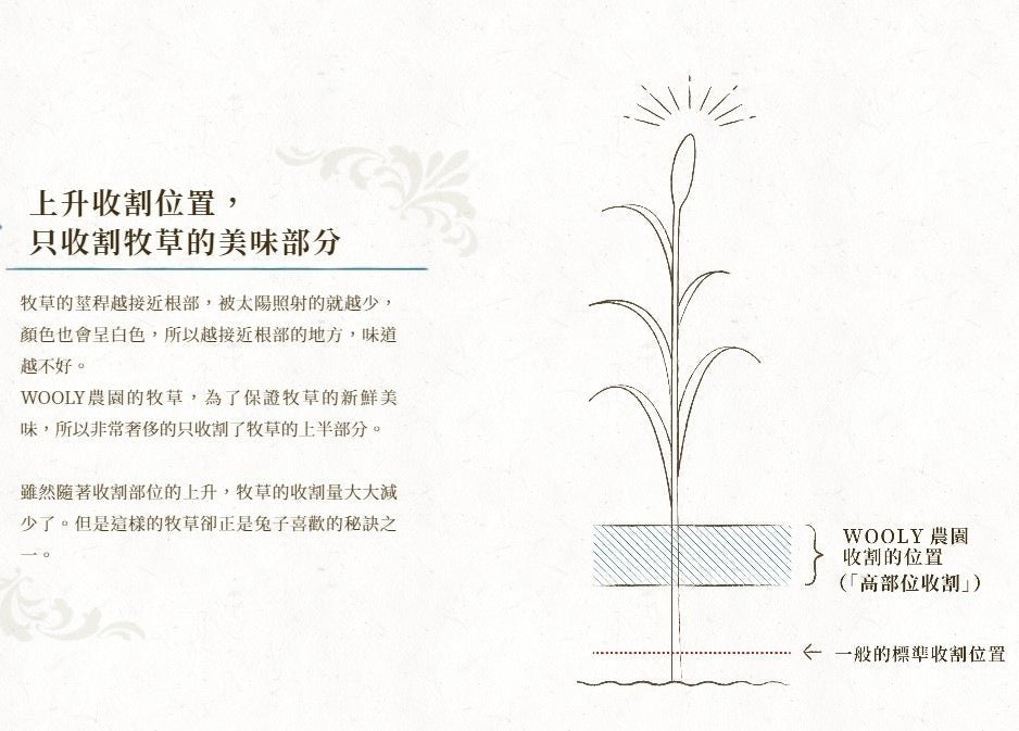 Wooly 高原早摘意大利 黑麥草一割 First Cut - 450g - 肥肥寵物用品FatFatPetShop