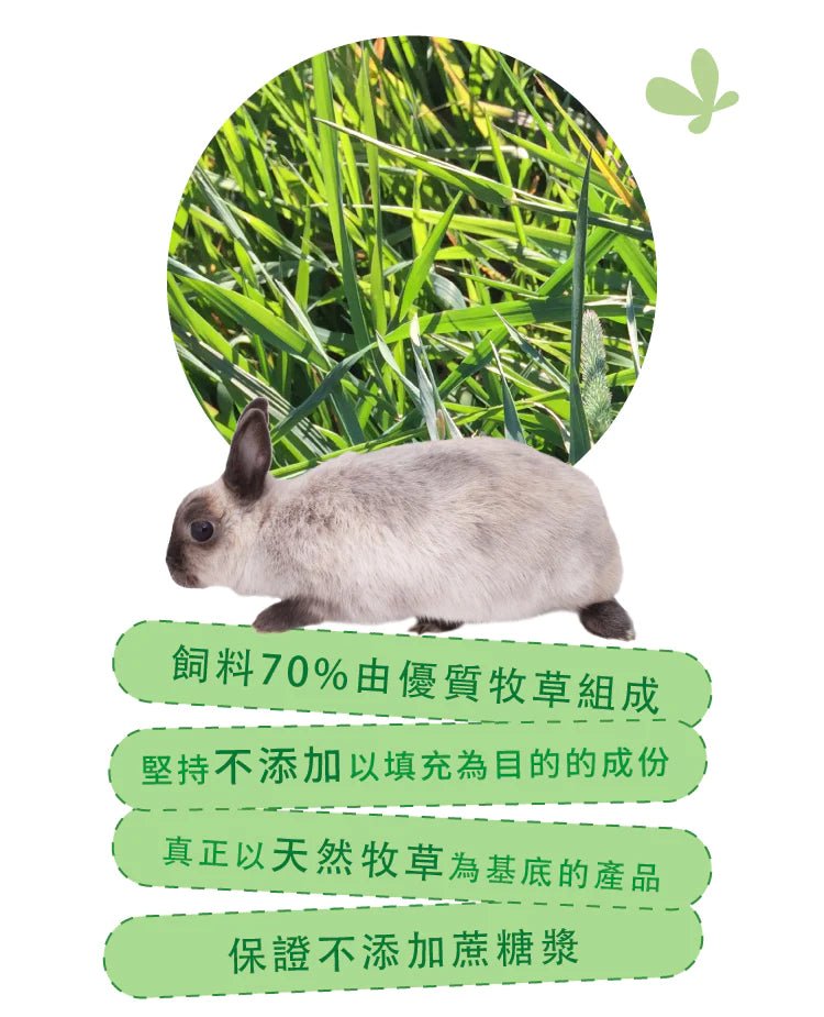 🇺🇸 MOMI 提牧草營養全 T 幼年兔糧-1/5KG - FatFatPetShopHK