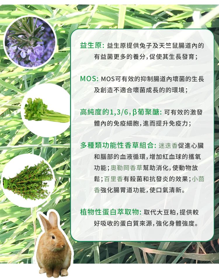 🇺🇸 MOMI 提牧草營養全 T 老年兔糧-1/5KG - FatFatPetShopHK