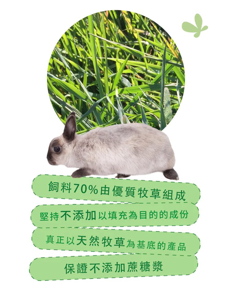 🇺🇸 MOMI 提牧草營養全 T 老年兔糧-1/5KG - FatFatPetShopHK