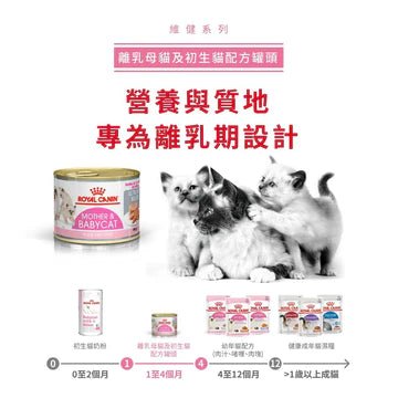 🇫🇷 ROYAL CANIN 法國皇家貓濕糧 - 離乳母貓及初生貓(肉塊)配方 CAT MOTHER &amp; BABYCAT WET 195Gx12 - FatFatPetShopHK