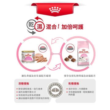 🇫🇷 ROYAL CANIN 法國皇家貓濕糧 - 離乳母貓及初生貓(肉塊)配方 CAT MOTHER &amp; BABYCAT WET 195Gx12 - FatFatPetShopHK