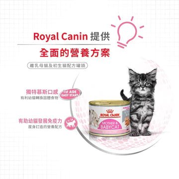 🇫🇷 ROYAL CANIN 法國皇家貓濕糧 - 離乳母貓及初生貓(肉塊)配方 CAT MOTHER &amp; BABYCAT WET 195Gx12 - FatFatPetShopHK